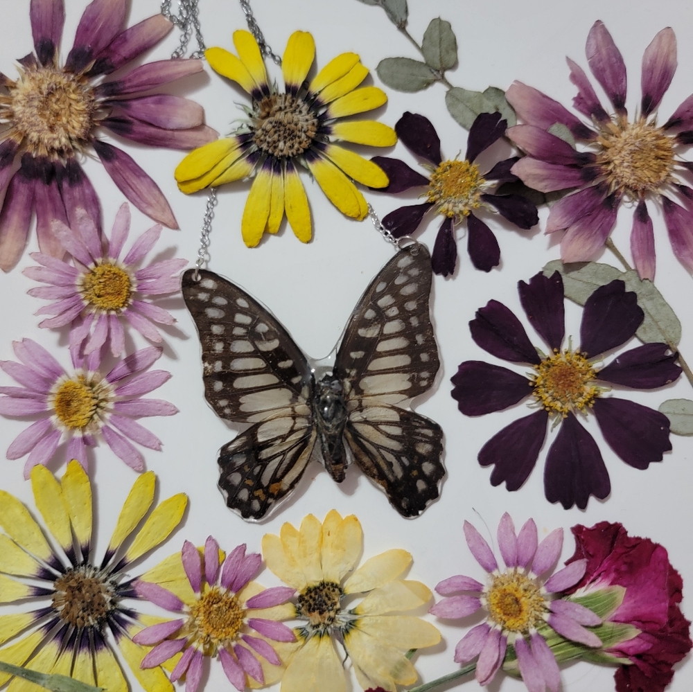 Real (ethically sourced) butterfly necklace